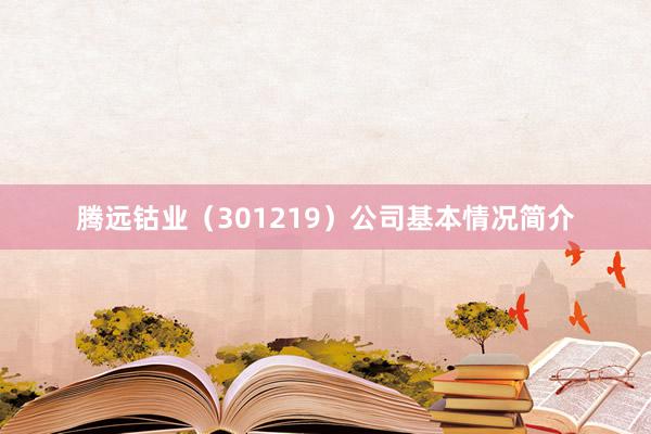腾远钴业（301219）公司基本情况简介