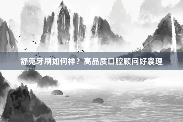 舒克牙刷如何样？高品质口腔顾问好襄理